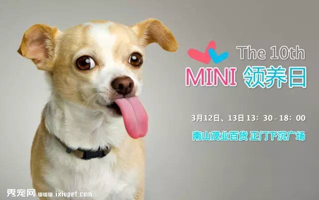 The 10th MINI������| ��Щ�������ֳ�?