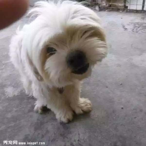 The 10th MINI������| ��Щ�������ֳ�?