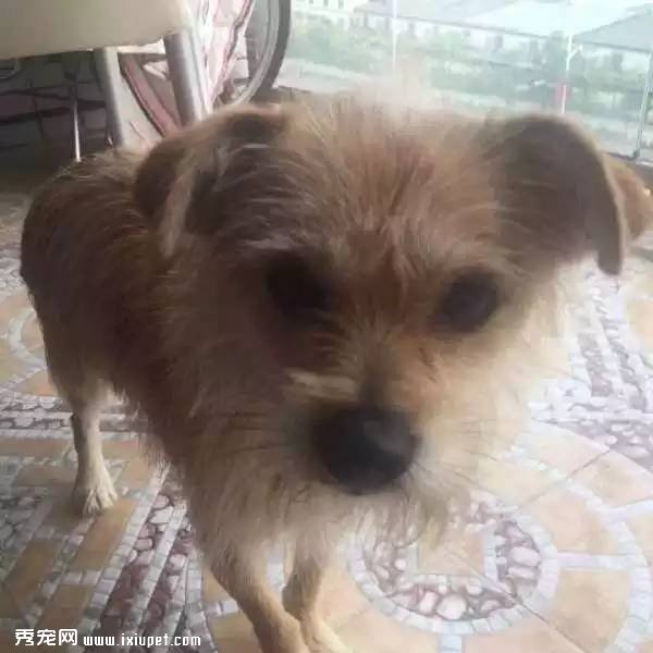 The 10th MINI������| ��Щ�������ֳ�?