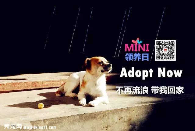 The 10th MINI������| ��Щ�������ֳ�?