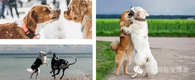 ���鶨�販�ᣬ�а���ǣצ�����������ļ�����У�