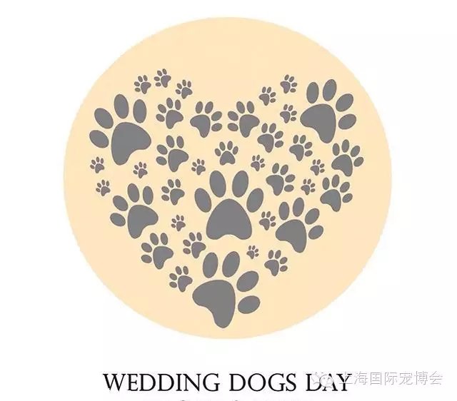 ���鶨�販�ᣬ�а���ǣצ�����������ļ�����У�