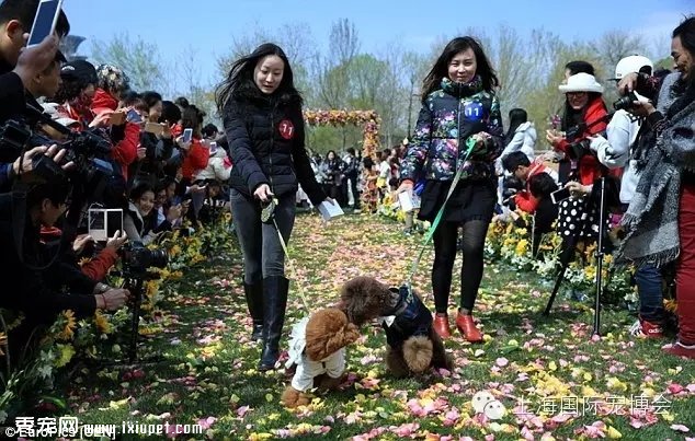 ���鶨�販�ᣬ�а���ǣצ�����������ļ�����У�