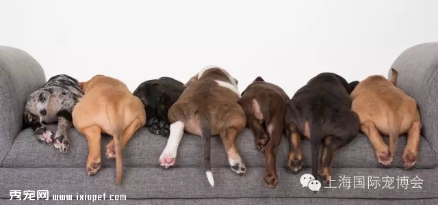 ���鶨�販�ᣬ�а���ǣצ�����������ļ�����У�