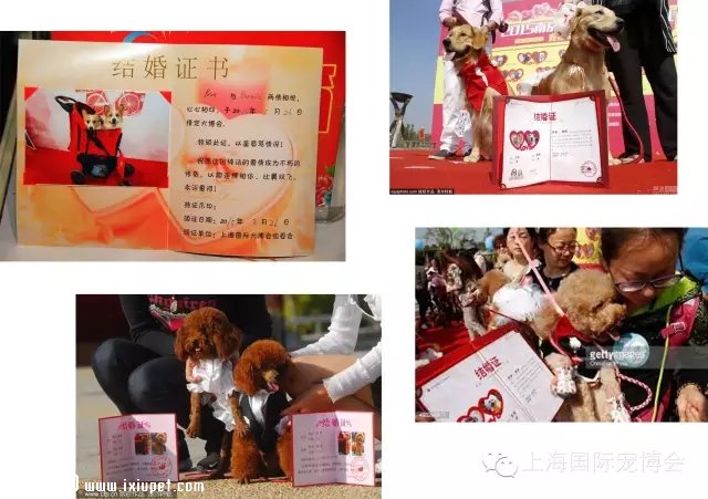 ���鶨�販�ᣬ�а���ǣצ�����������ļ�����У�