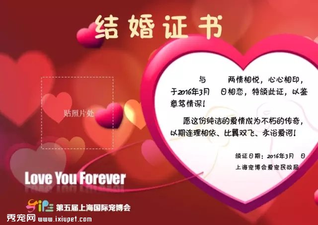 ���鶨�販�ᣬ�а���ǣצ�����������ļ�����У�