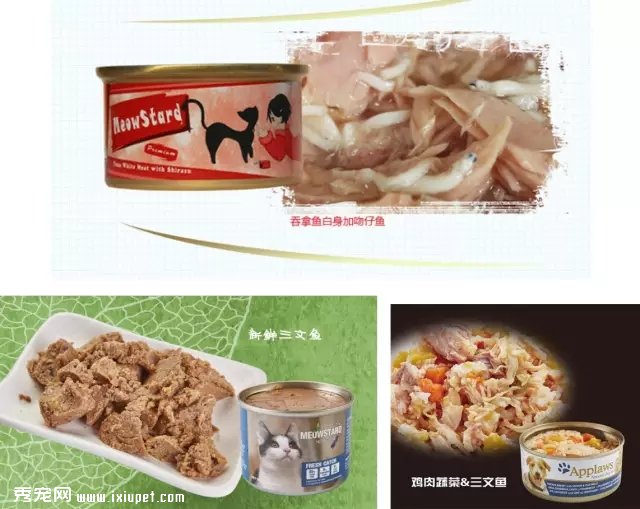 ���鶨�販�ᣬ�а���ǣצ�����������ļ�����У�
