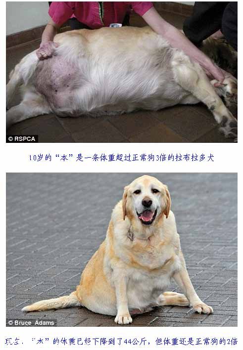 Ӣ����������֣�����������1��4ǧԪ