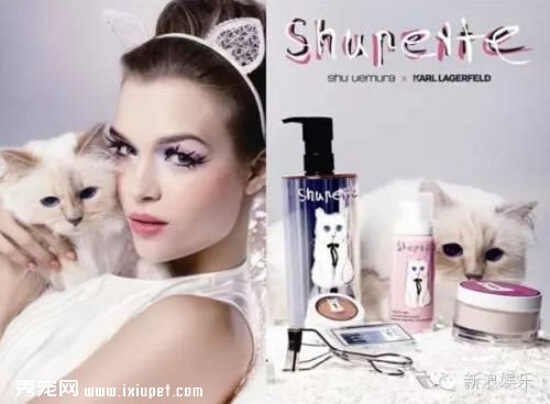 �˱ȳ��������ˣ�����Chanel�Ϸ�ү����ֻè