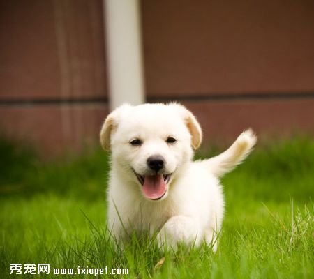 ����ҲҪ�Ƿ��ƹ���  ����12�ֵ���֤����
