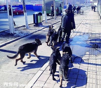 ���ӵ����ް�����Ȯ ��������Ȯ�죺����޹����ܷ�