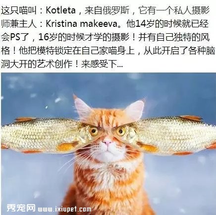 ��Ψ��|һֻ����������Ƭ...