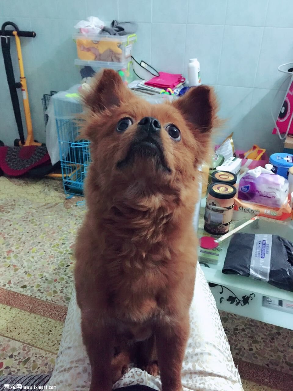 �����ڳ���������9���´󶹶�������