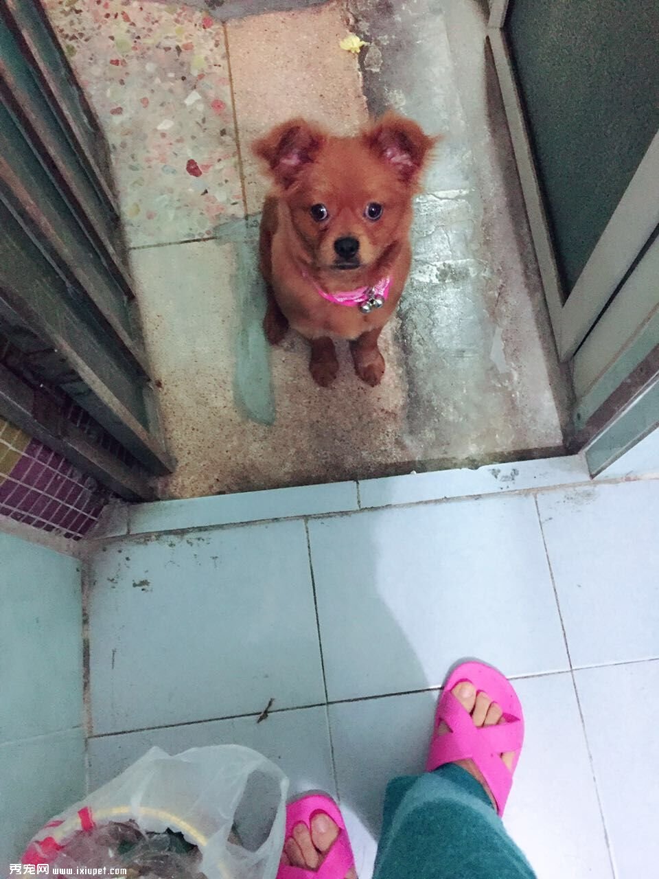 �����ڳ���������9���´󶹶�������