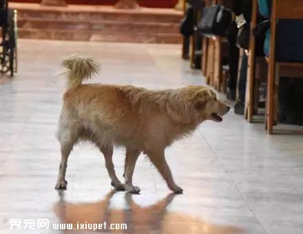 ���˹��������ã�û�뵽�ưK���ڳ��Ĳ�ͯ��