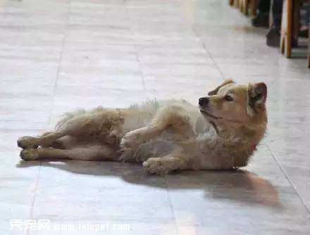 ���˹��������ã�û�뵽�ưK���ڳ��Ĳ�ͯ��