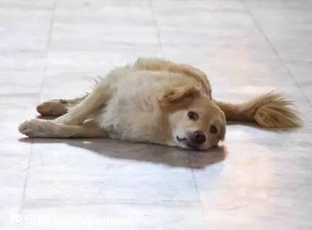 ���˹��������ã�û�뵽�ưK���ڳ��Ĳ�ͯ��