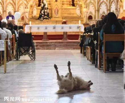 ���˹��������ã�û�뵽�ưK���ڳ��Ĳ�ͯ��