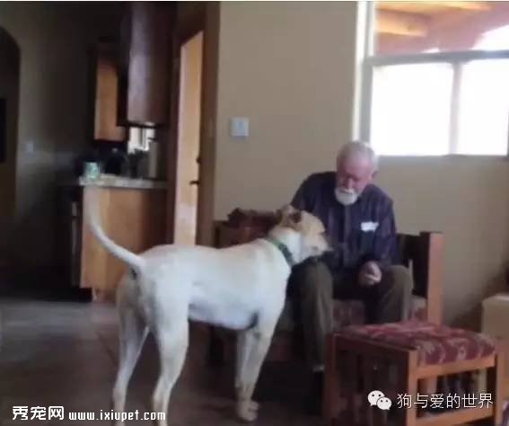 ������������ߣ�ȥ������մ��İְ�ʱ���漣�����ˣ�