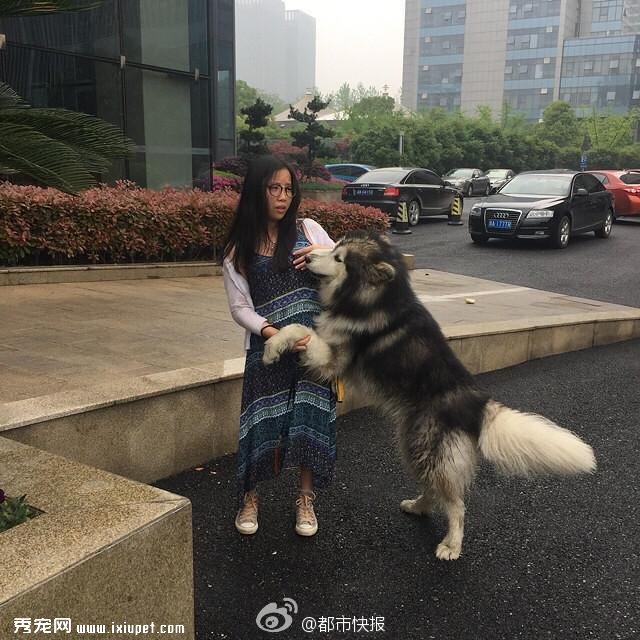 ���ƴ�д���ۣ���·����˹��Ȯ�������� 