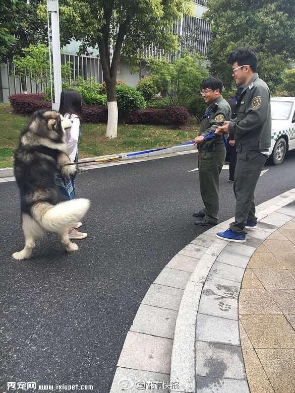 ���ƴ�д���ۣ���·����˹��Ȯ�������� 