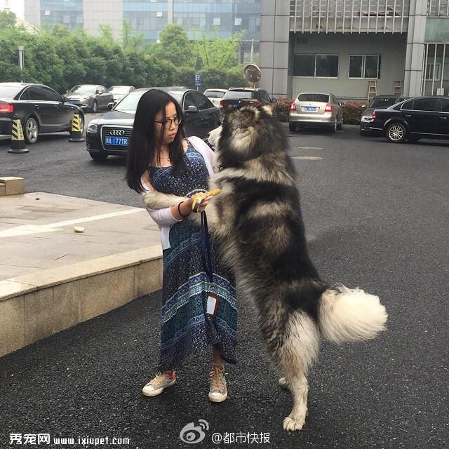 ���ƴ�д���ۣ���·����˹��Ȯ�������� 