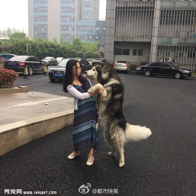 ���ƴ�д���ۣ���·����˹��Ȯ�������� 