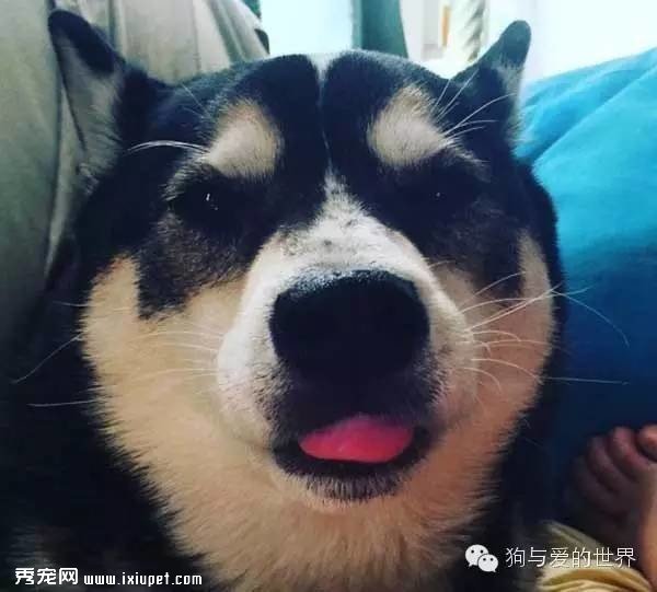 ���˳��Ա������ޣ����ȴ�����˲�һ���ġ����硱
