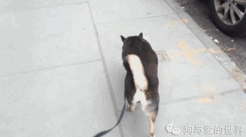 ���˳��Ա������ޣ����ȴ�����˲�һ���ġ����硱