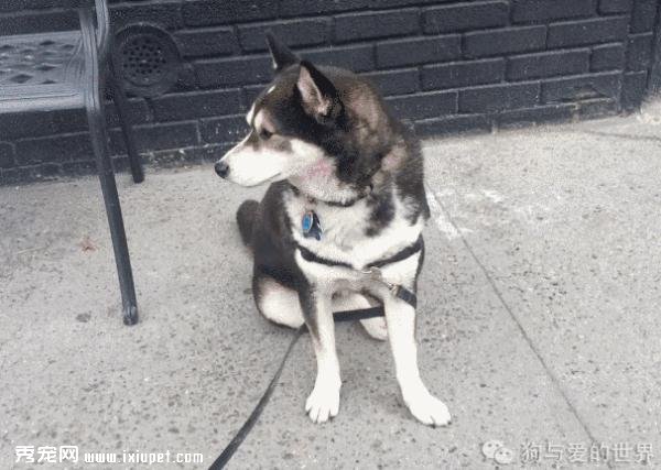 ���˳��Ա������ޣ����ȴ�����˲�һ���ġ����硱