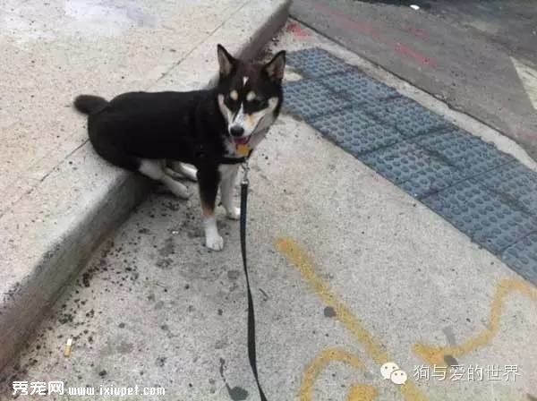 ���˳��Ա������ޣ����ȴ�����˲�һ���ġ����硱