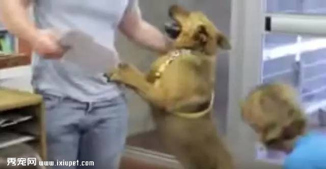 ��ʧ����������һֱĬĬ�ѻ�7�꣬�ñ��ط�ȴ��ǧ���˿޺�����