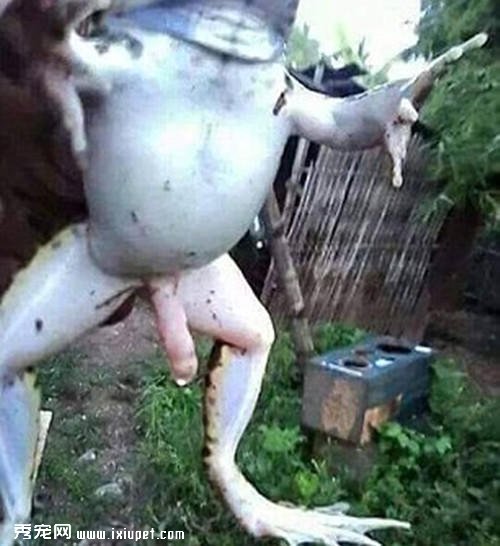 ��ֻ���ܾ�Ȼ���������˵ġ��޸�����������ѧ��˵����ʵ�ǡ�����-����˵
