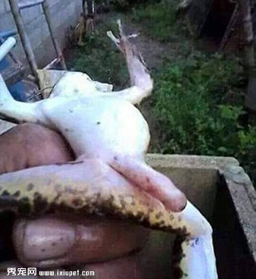 ��ֻ���ܾ�Ȼ���������˵ġ��޸�����������ѧ��˵����ʵ�ǡ�����-����˵