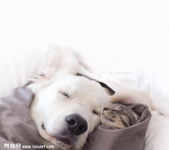 ���Ҹ����£�Ī������ֻ��ë��ů�е����-����˵