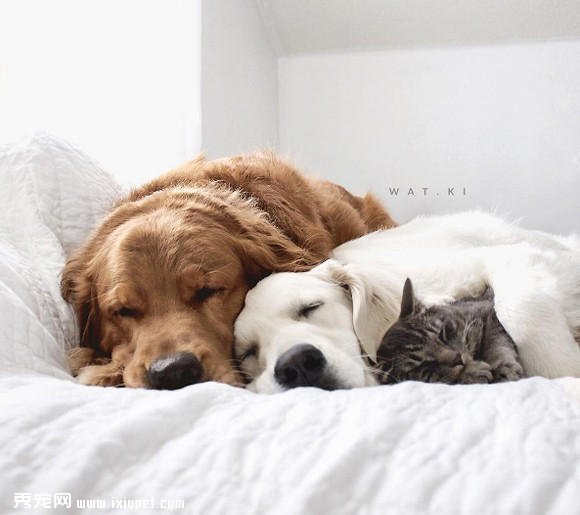 ���Ҹ����£�Ī������ֻ��ë��ů�е����-����˵