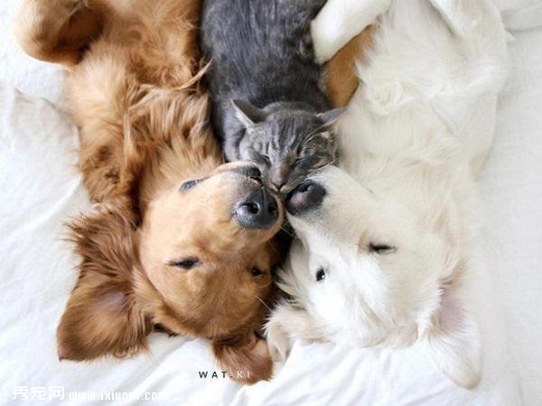���Ҹ����£�Ī������ֻ��ë��ů�е����-����˵
