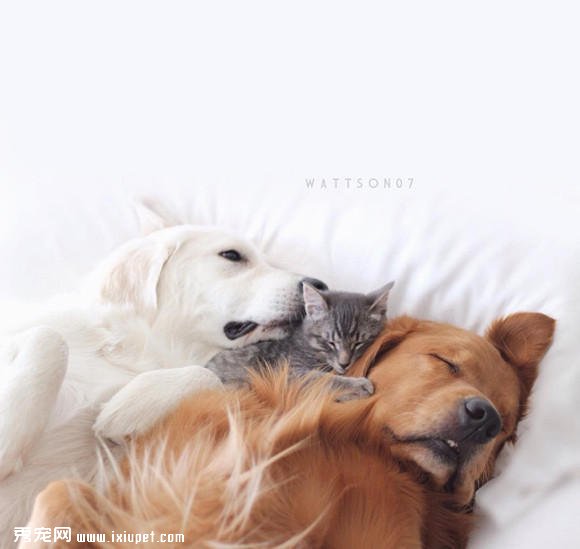 ���Ҹ����£�Ī������ֻ��ë��ů�е����-����˵