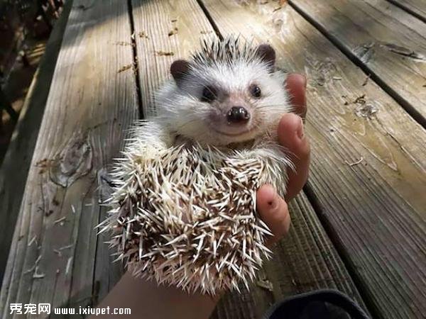 �ҵ����Ц���ֵ����Ц���㿴����Щ���ﶼЦ�úÿ���-����˵