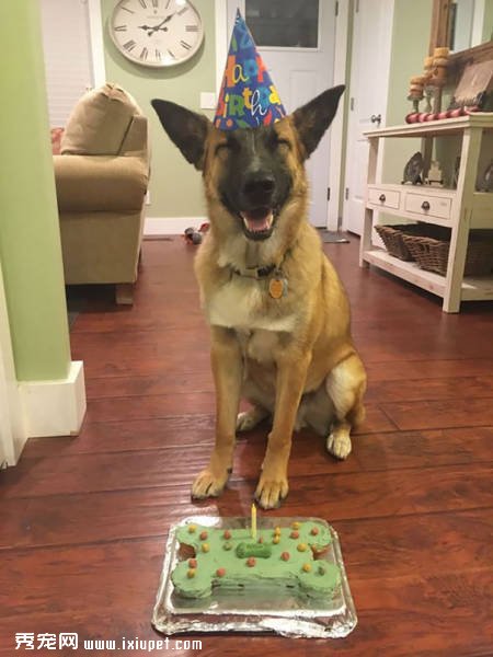 �ҵ����Ц���ֵ����Ц���㿴����Щ���ﶼЦ�úÿ���-����˵