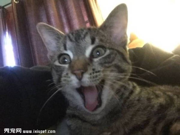 �ҵ����Ц���ֵ����Ц���㿴����Щ���ﶼЦ�úÿ���-����˵