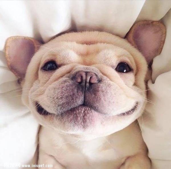 �ҵ����Ц���ֵ����Ц���㿴����Щ���ﶼЦ�úÿ���-����˵