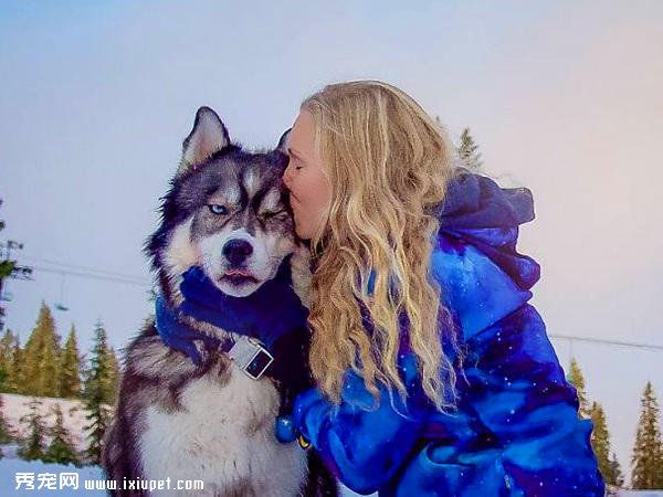 �������Ѽұ���Ů�Ӻ����й�ʿ����飬���ոı�������-����˵