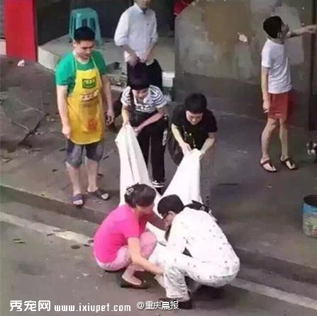 ��ʿ��ʧ��׹¥ �󹷹�������Ӱ���