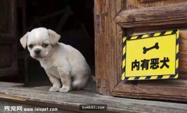 ��С��Ƥ��һ�䣺������Լ��������𡭡���