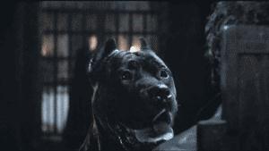 ��С��Ƥ��һ�䣺������Լ��������𡭡���