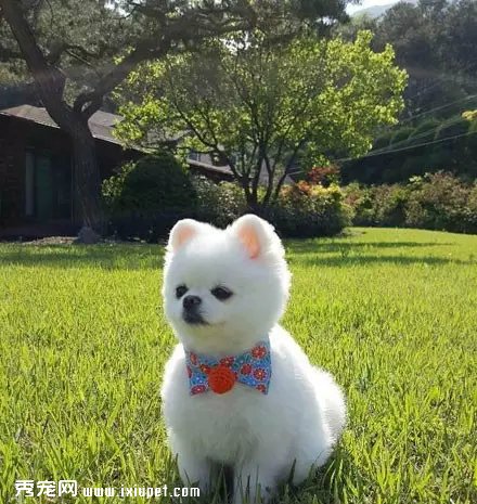 ����崿���˵�С�������һ궼��������......