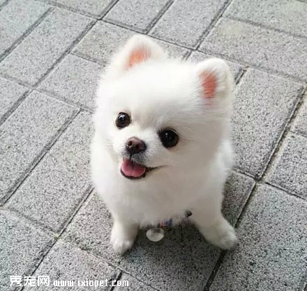 ����崿���˵�С�������һ궼��������......