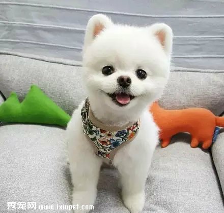 ����崿���˵�С�������һ궼��������......