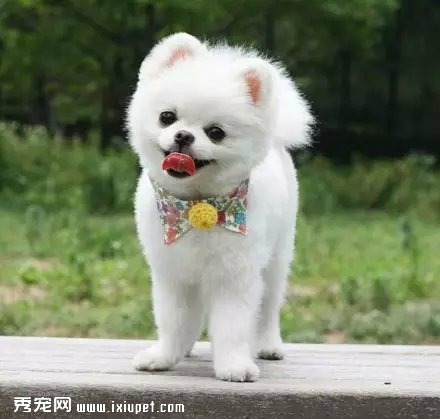 ����崿���˵�С�������һ궼��������......